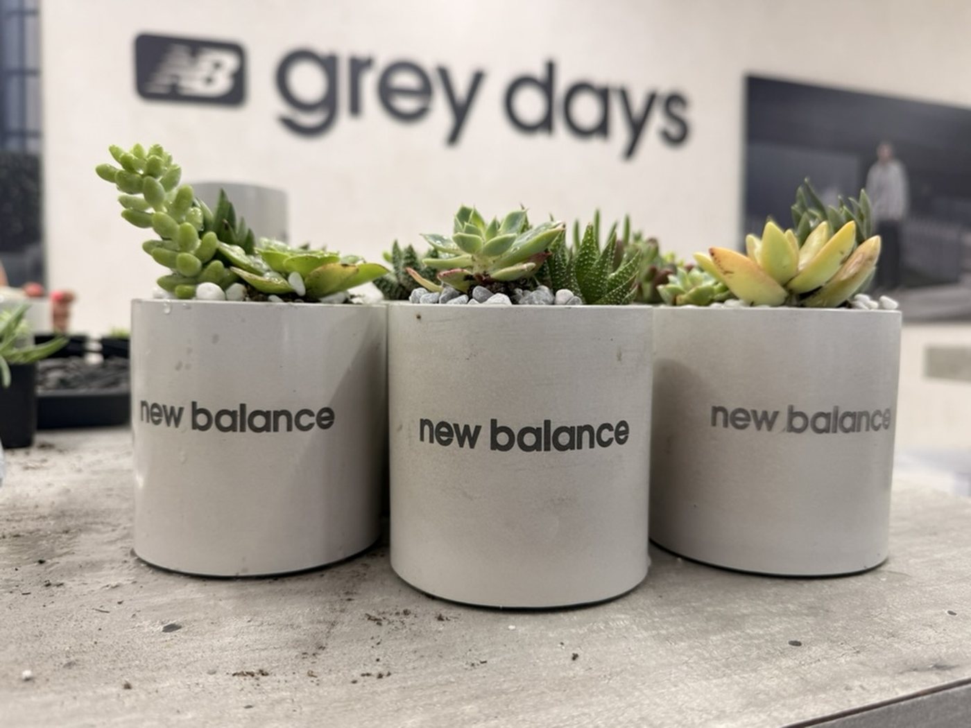 Branded concrete succulent planters at the New Balance Grey Days activation